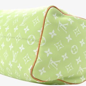Louis Vuitton Calfskin Monogram Speedy Bandoulière 30 Frozen Lime - Image 9
