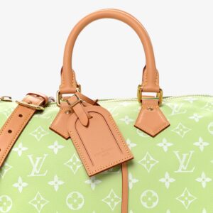 Louis Vuitton Calfskin Monogram Speedy Bandoulière 30 Frozen Lime - Image 6