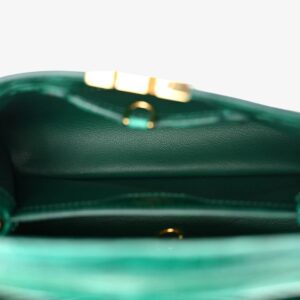 Louis Vuitton Alligator Capucines BB Émeraude - Image 7